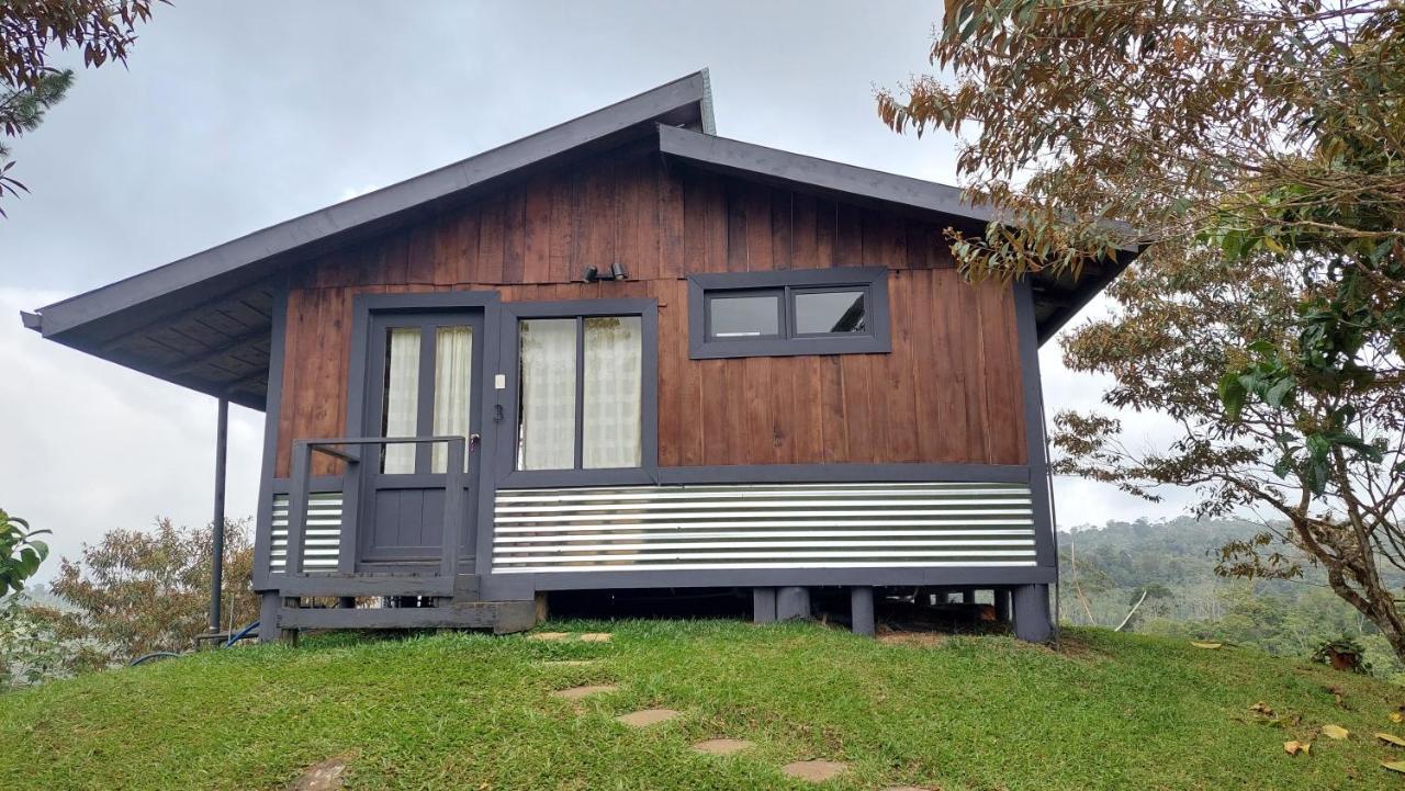 Bed & Breakfast The At Reventazon River Mountain Ranch