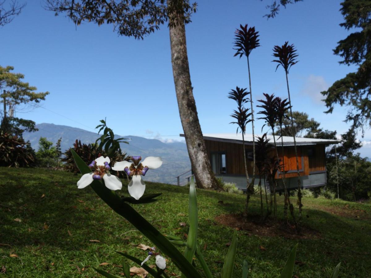 The At Reventazon River Mountain Ranch *