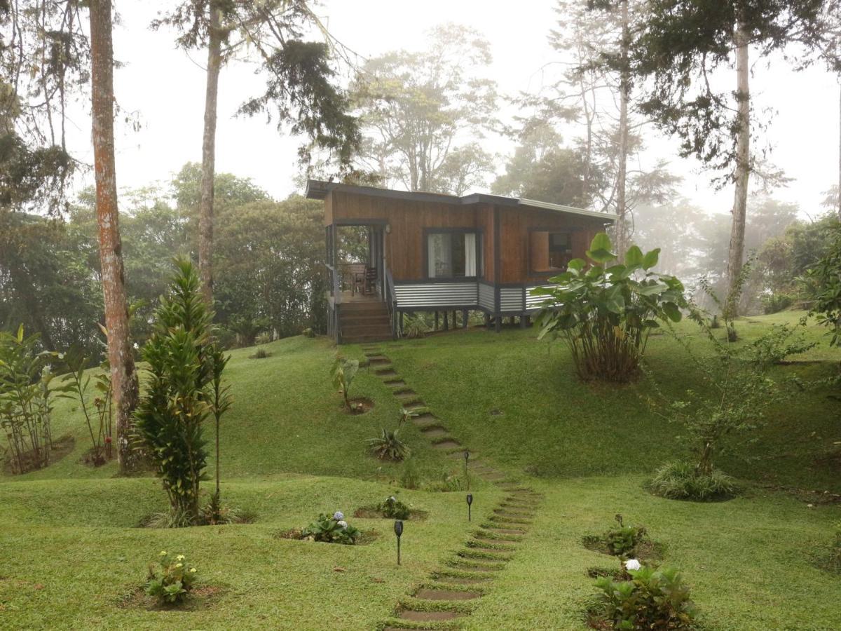 Bed & Breakfast The At Reventazon River Mountain Ranch *